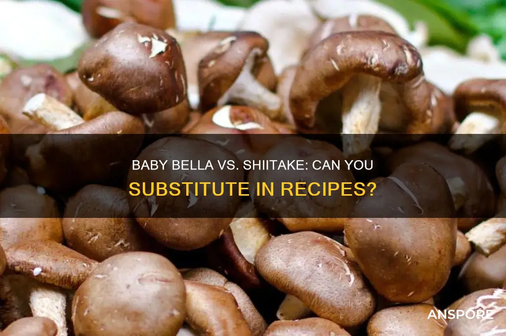 can you substitute baby bella mushroom for shiitake mushrooms
