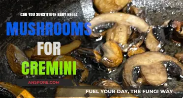 Baby Bella vs. Cremini: Perfect Mushroom Substitute for Your Recipes