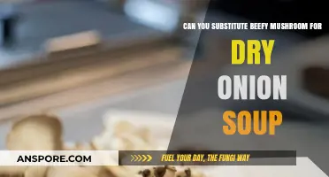 Beefy Mushroom vs. Dry Onion Soup: Perfect Substitute or Not?