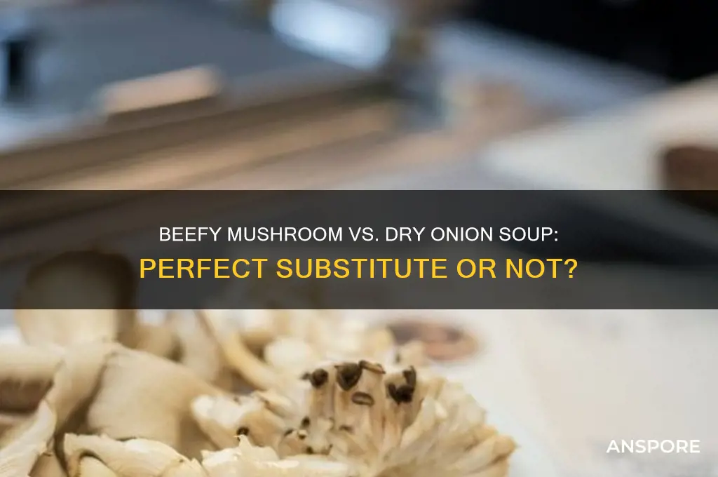 can you substitute beefy mushroom for dry onion soup