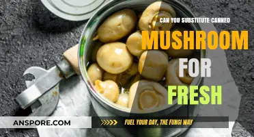 Substituting Canned Mushrooms for Fresh: A Tasty Alternative or Not?