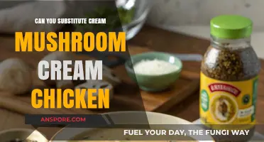 Cream of Mushroom Substitute: Perfect Swap for Cream of Chicken Soup