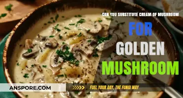 Cream of Mushroom vs. Golden Mushroom: Can You Substitute?