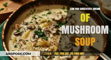 Cream of Mushroom Soup Substitutes: Creative Alternatives for Your Recipes