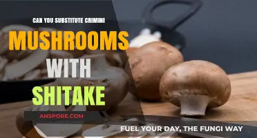 Crimini vs. Shiitake: Perfect Mushroom Substitute for Your Recipes