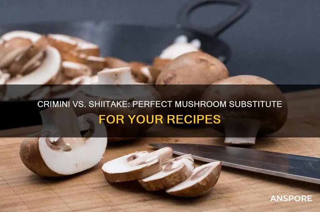 can you substitute crimini mushrooms with shitake