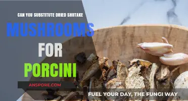 Dried Shiitake vs. Porcini: Perfect Substitute or Culinary Compromise?