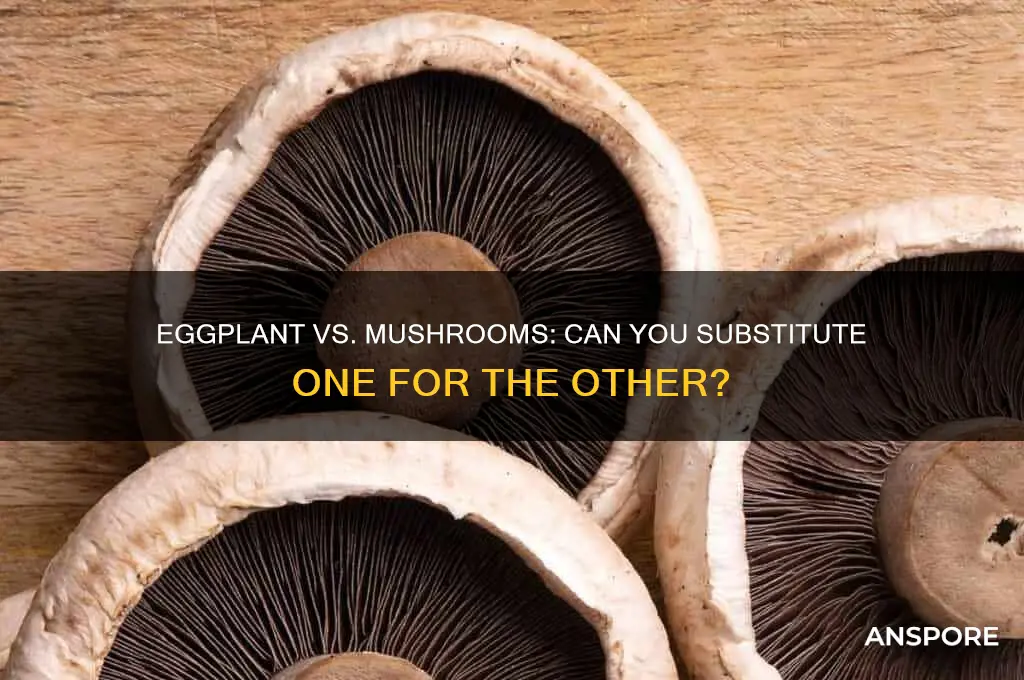 can you substitute eggplant for mushrooms