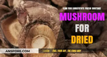 Substituting Fresh Shiitake Mushrooms for Dried: Tips and Tricks