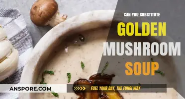 Substituting Golden Mushroom Soup: Creative Alternatives for Your Recipes