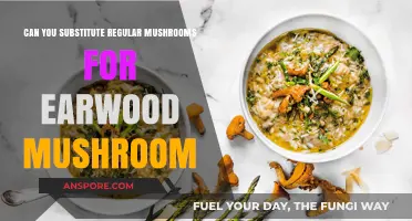 Substituting Regular Mushrooms for Earwood: A Culinary Exploration