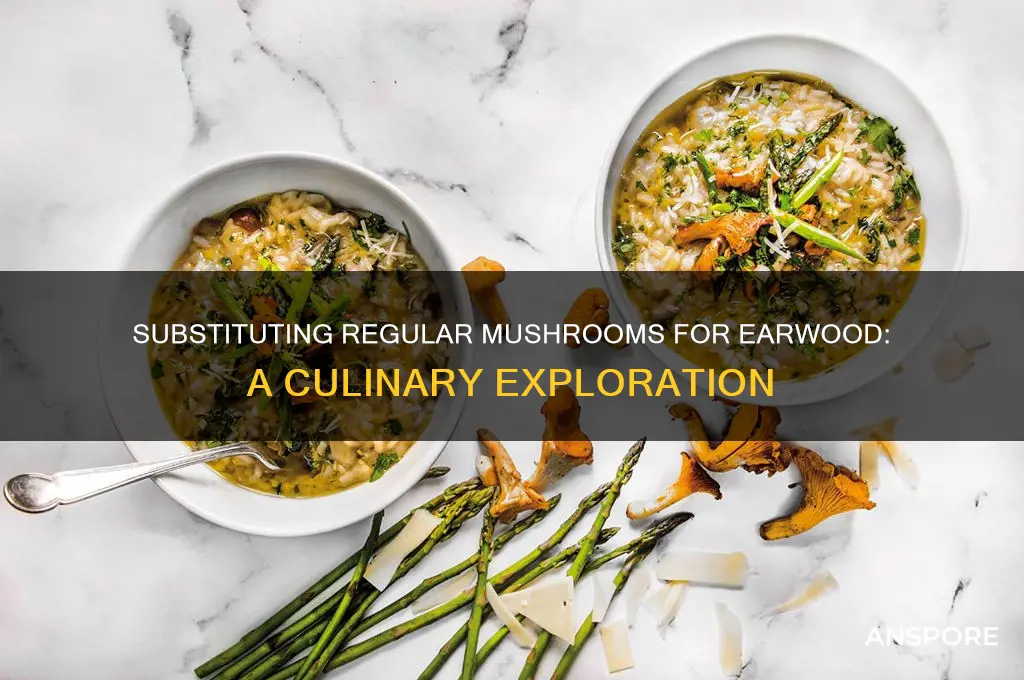 can you substitute regular mushrooms for earwood mushroom