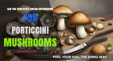 Shiitake vs. Portobello: Perfect Substitute for Portobello Mushrooms?