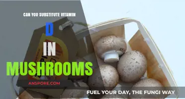 Mushrooms as a Vitamin D Substitute: Benefits, Sources, and Effectiveness
