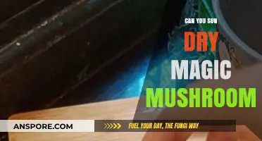 Sun Drying Magic Mushrooms: A Safe and Effective Preservation Method?