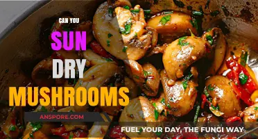 Sun-Drying Mushrooms: A Simple Guide to Preserving Your Harvest