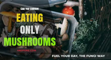 Surviving on Mushrooms: A Nutritional Adventure or Health Risk?