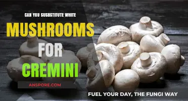 White Mushrooms vs. Cremini: Perfect Substitute or Culinary Compromise?