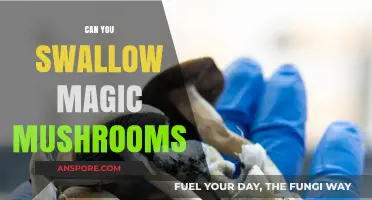 Can You Swallow Magic Mushrooms? Safety, Effects, and Risks Explained