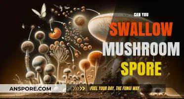 Can You Swallow Mushroom Spores? Safety, Risks, and Facts Explained