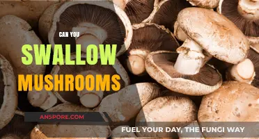 Can You Swallow Mushrooms? Safety, Benefits, and Risks Explained