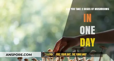 Double Dosing Mushrooms: Risks and Considerations for Same-Day Use