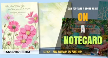 How to Take a Spore Print on a Notecard: Simple Guide