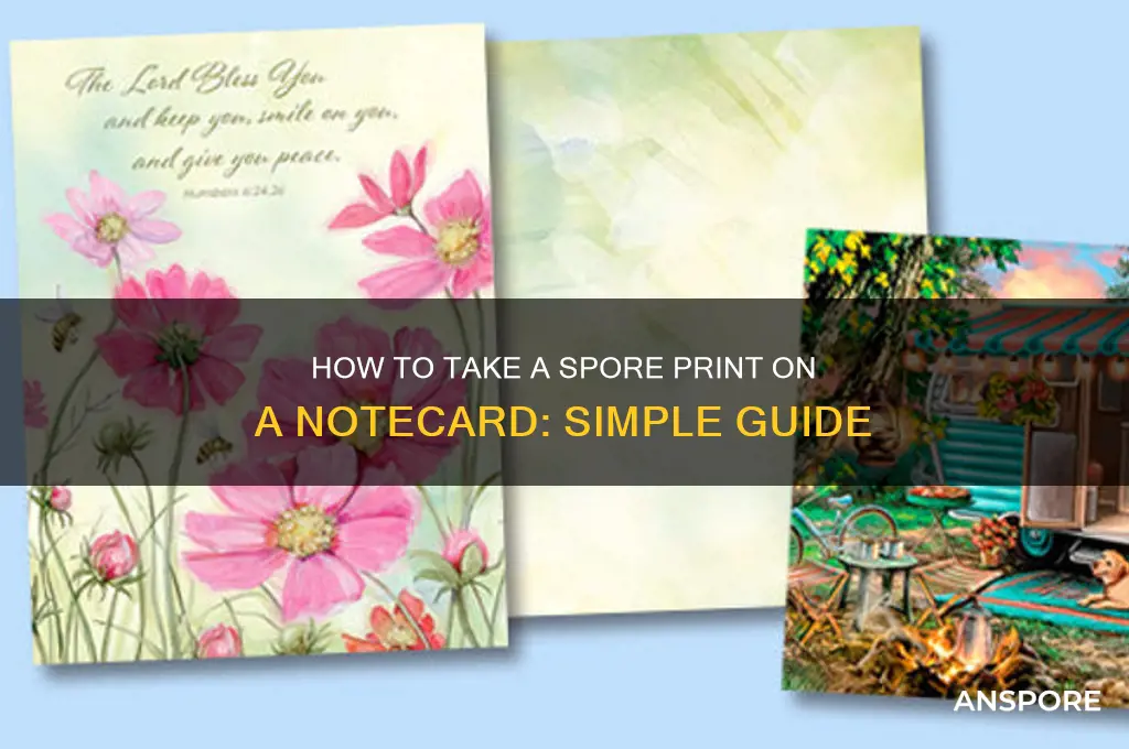 can you take a spore print on a notecard