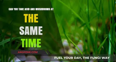 Mixing Acid and Mushrooms: Risks, Effects, and Safety Concerns