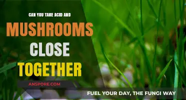 Mixing Acid and Mushrooms: Risks, Effects, and Timing Explained