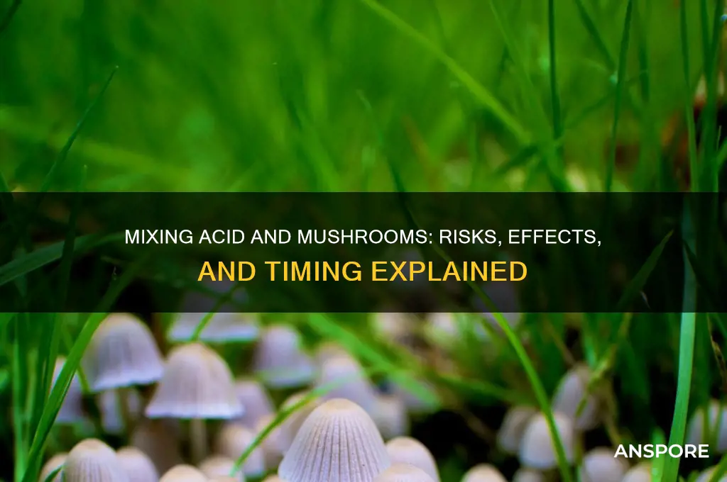 can you take acid and mushrooms close together