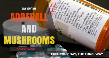 Adderall and Mushrooms: Risks, Interactions, and Safety Concerns Explained