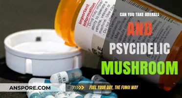 Mixing Adderall and Psychedelic Mushrooms: Risks and Considerations