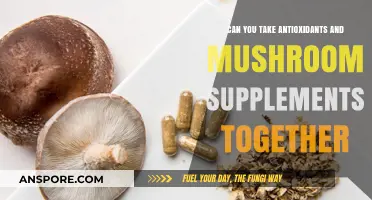 Antioxidants and Mushroom Supplements: A Safe and Effective Combination?
