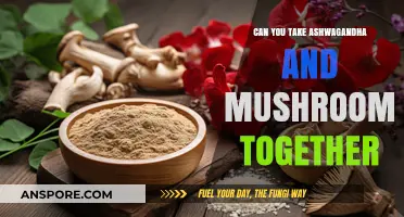Ashwagandha and Mushrooms: Safe and Effective Combination or Risky Mix?