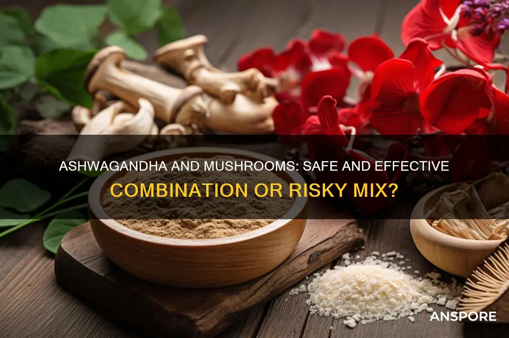 can you take ashwagandha and mushrooms together