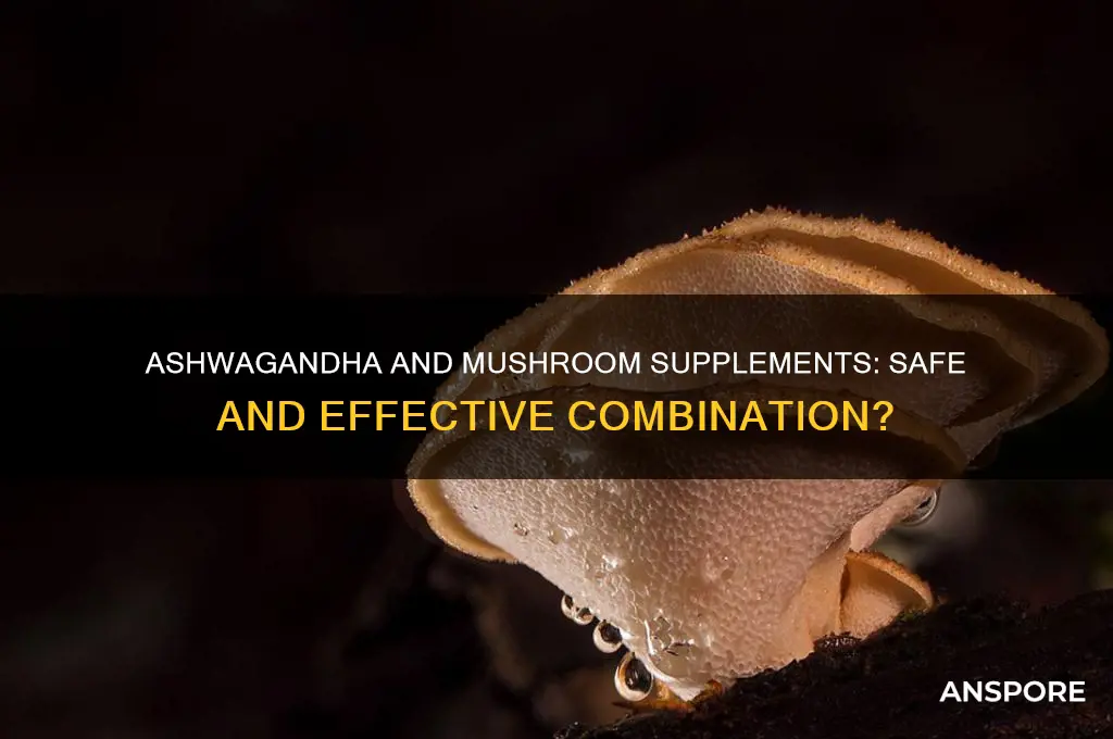 can you take ashwagandha with mushroom supplements