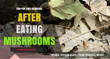 Charcoal After Mushroom Consumption: Safe or Risky? Expert Insights