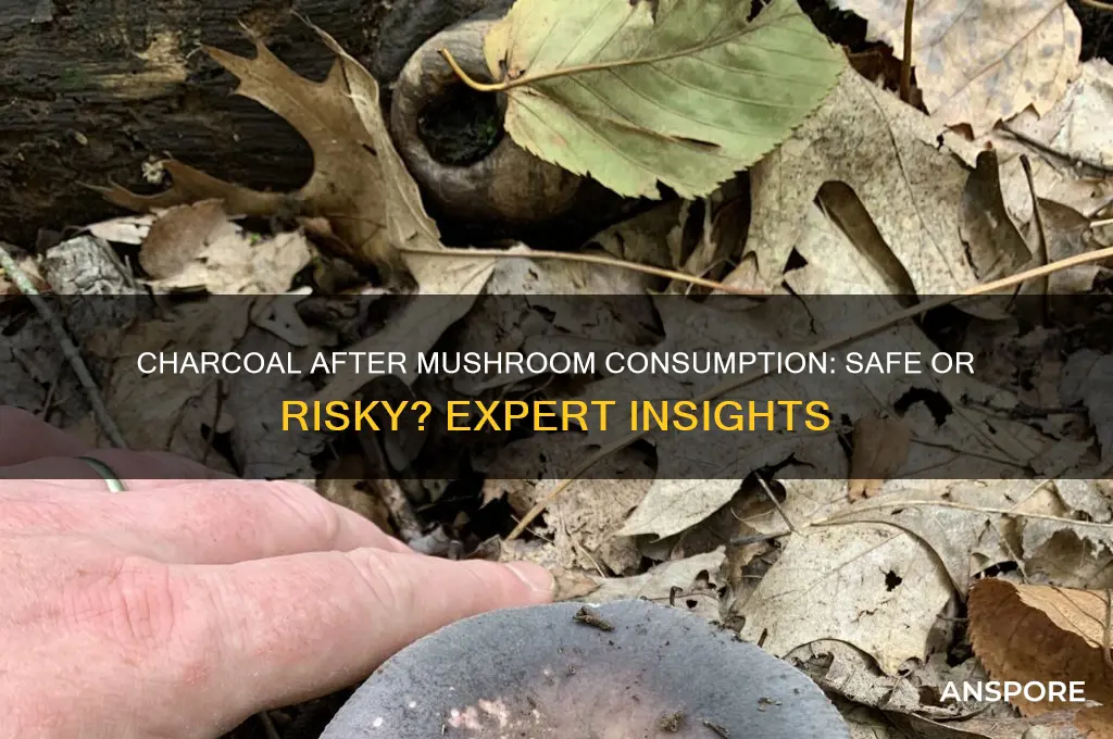 can you take charcoal after eating mushrooms