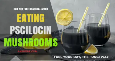 Charcoal After Psilocybin Mushrooms: Safe Detox or Risky Move?
