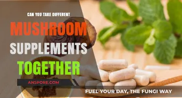 Mixing Mushroom Supplements: Safe Combinations for Optimal Health Benefits
