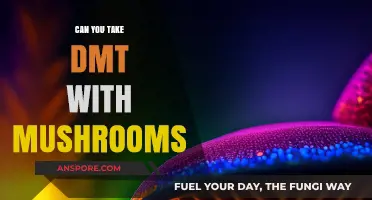 Exploring DMT and Mushrooms: Risks, Effects, and Safety Considerations