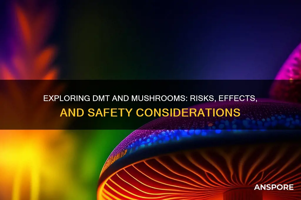 can you take dmt with mushrooms