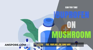 Mixing Ibuprofen and Mushrooms: Safe or Risky Combination?