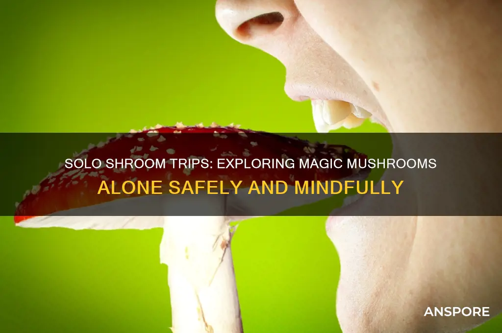 can you take magic mushrooms alone