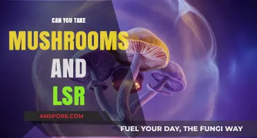 Mushrooms and LSD: Safe to Combine or Risky Interaction?