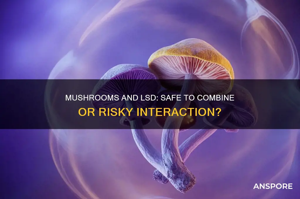 can you take mushrooms and lsr