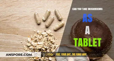 Exploring Mushroom Tablets: A Convenient Alternative to Traditional Consumption?