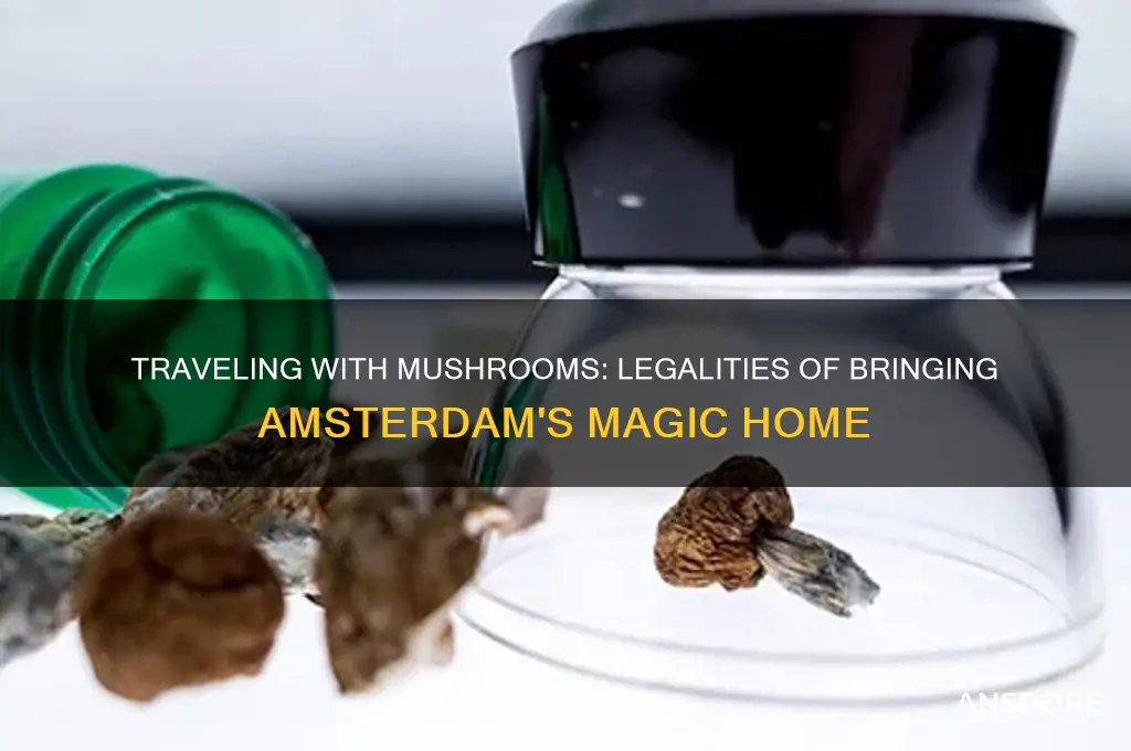 can you take mushrooms back from amsterdam