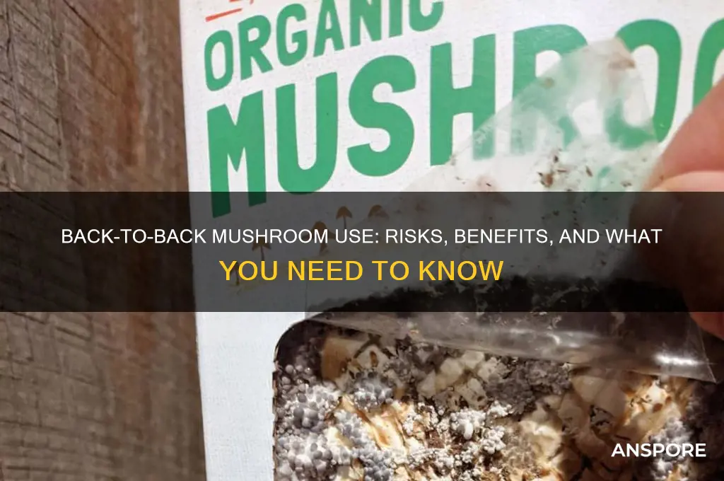 can you take mushrooms back to back days